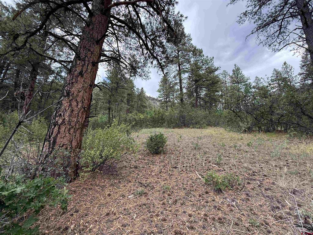 X Us Hwy 84 Highway Pagosa Springs CO 81147