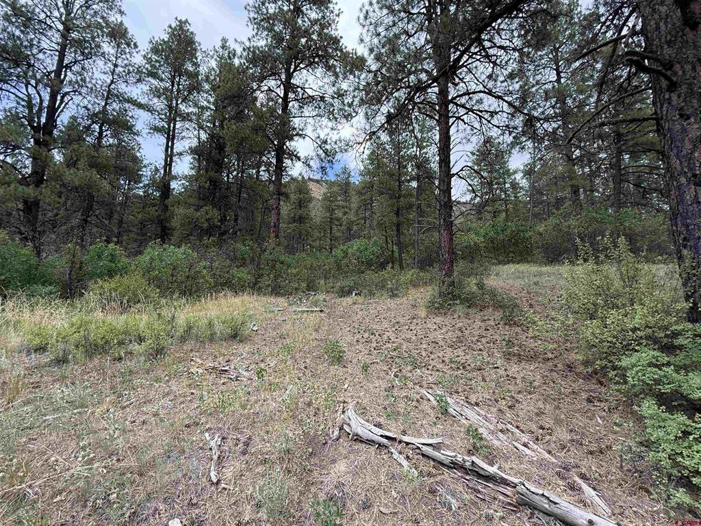 X Us Hwy 84 Highway Pagosa Springs CO 81147