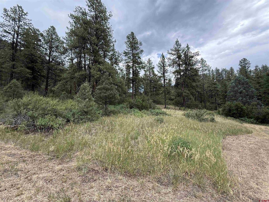 X Us Hwy 84 Highway Pagosa Springs CO 81147