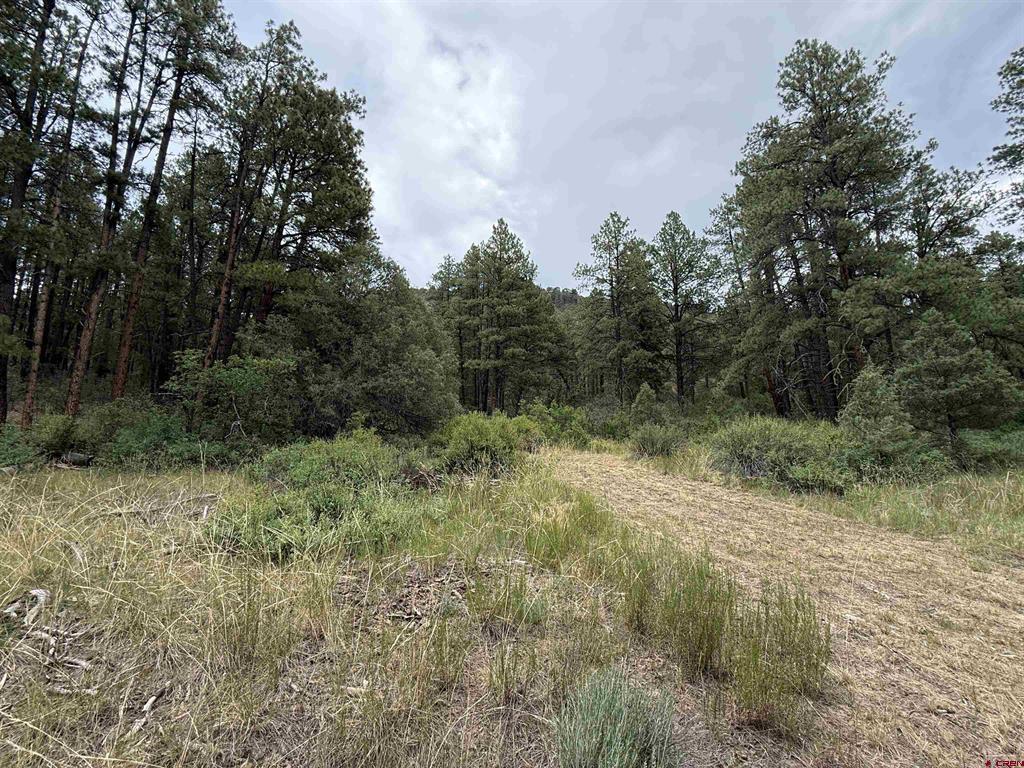 X Us Hwy 84 Highway Pagosa Springs CO 81147
