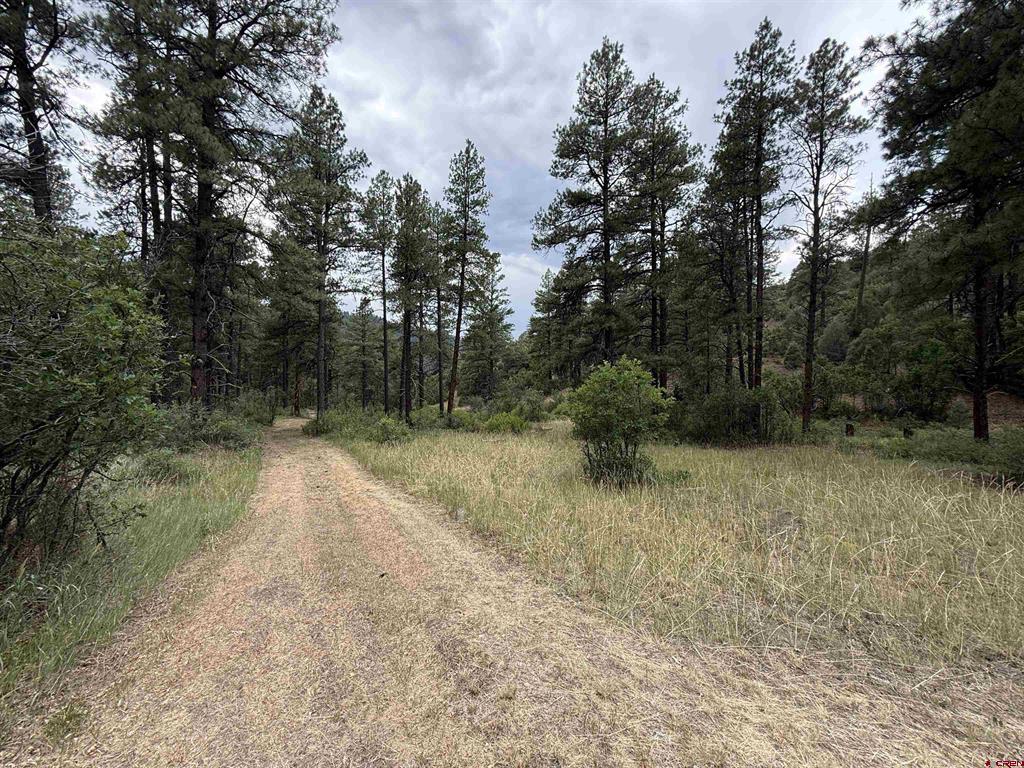 X Us Hwy 84 Highway Pagosa Springs CO 81147