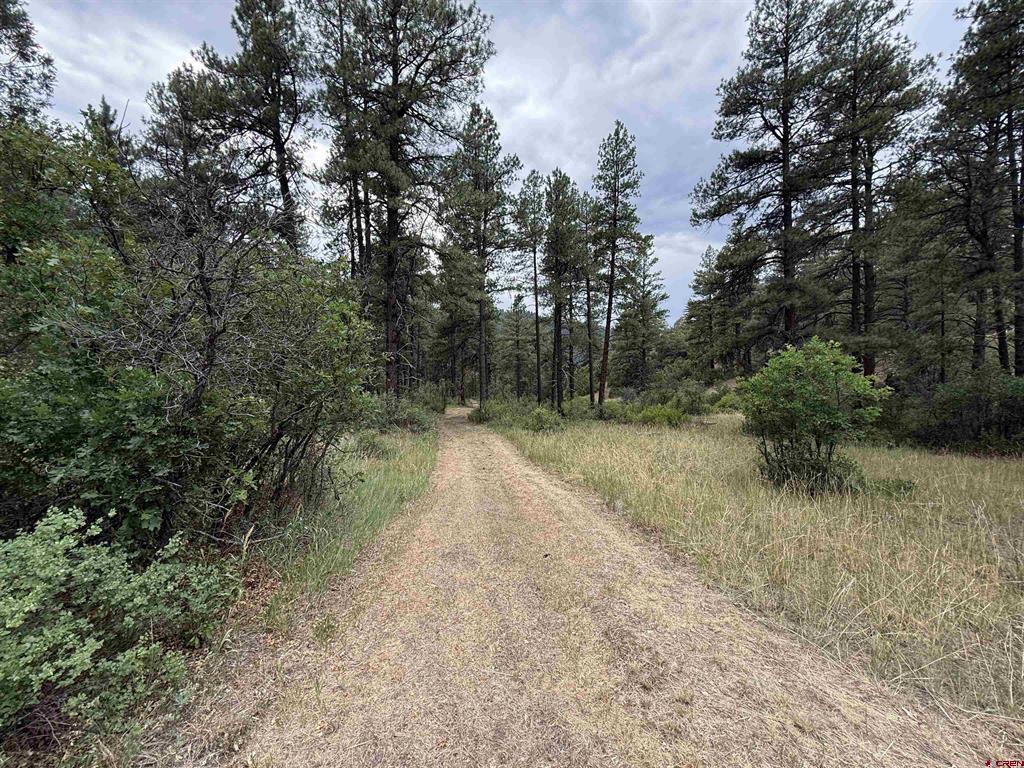 X Us Hwy 84 Highway Pagosa Springs CO 81147