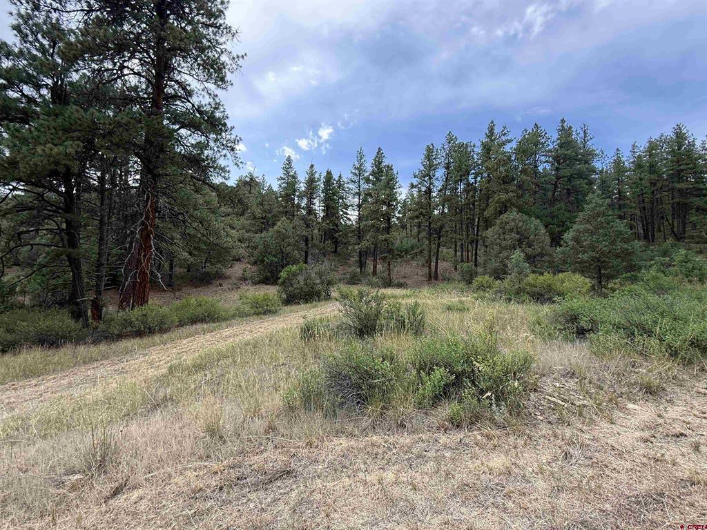 X Us Hwy 84 Highway Pagosa Springs CO 81147