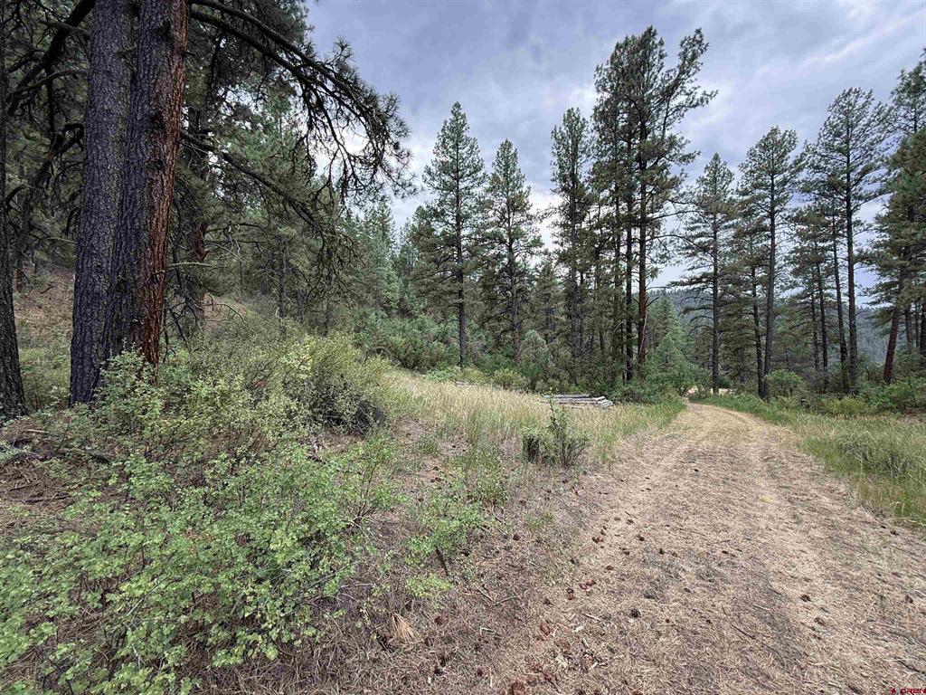 X Us Hwy 84 Highway Pagosa Springs CO 81147