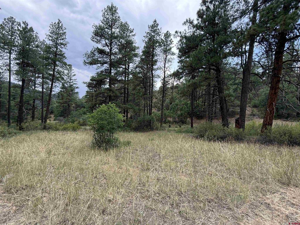 X Us Hwy 84 Highway Pagosa Springs CO 81147