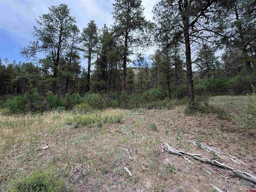 X Us Hwy 84 Highway Pagosa Springs CO 81147