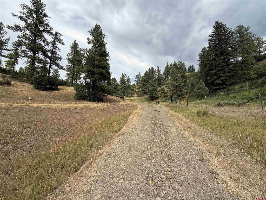 X Us Hwy 84 Highway Pagosa Springs CO 81147