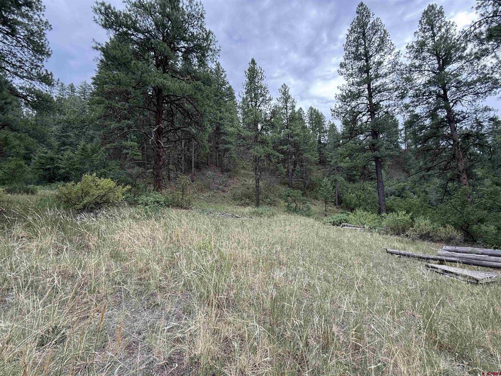 X Us Hwy 84 Highway Pagosa Springs CO 81147