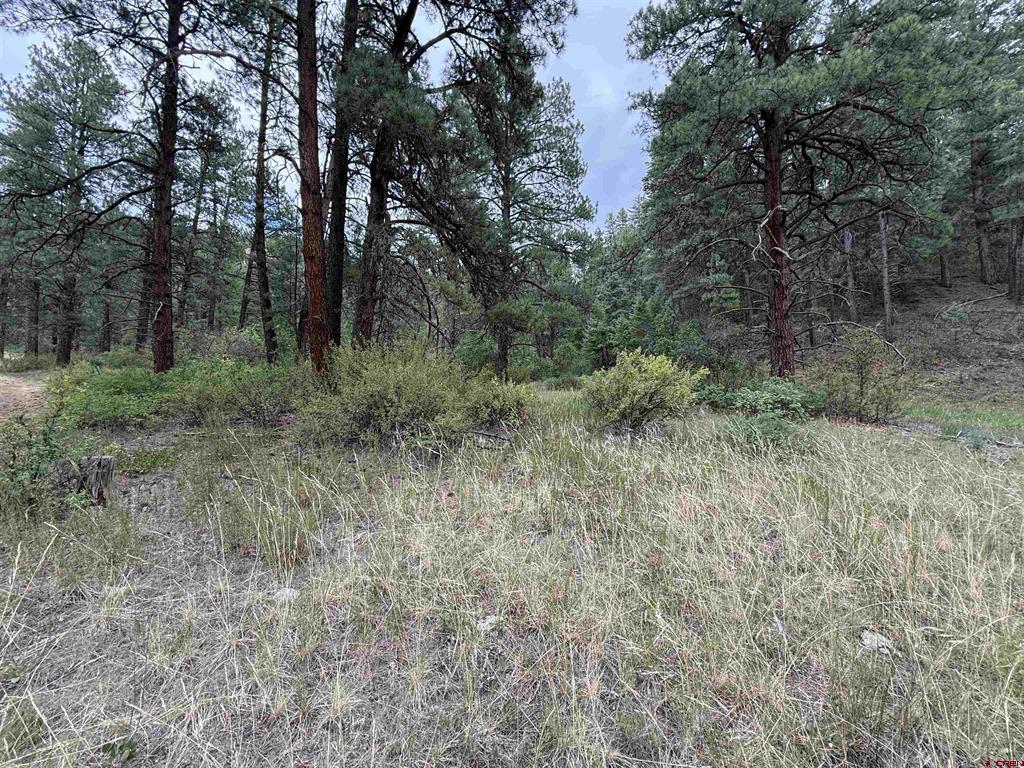 X Us Hwy 84 Highway Pagosa Springs CO 81147