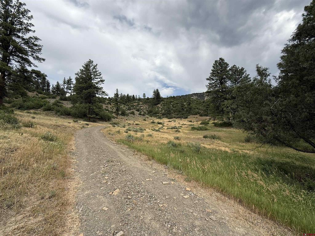 X Us Hwy 84 Highway Pagosa Springs CO 81147