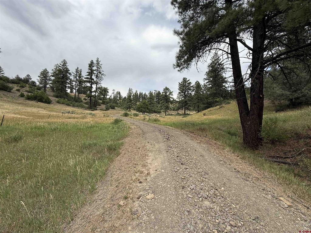 X Us Hwy 84 Highway Pagosa Springs CO 81147