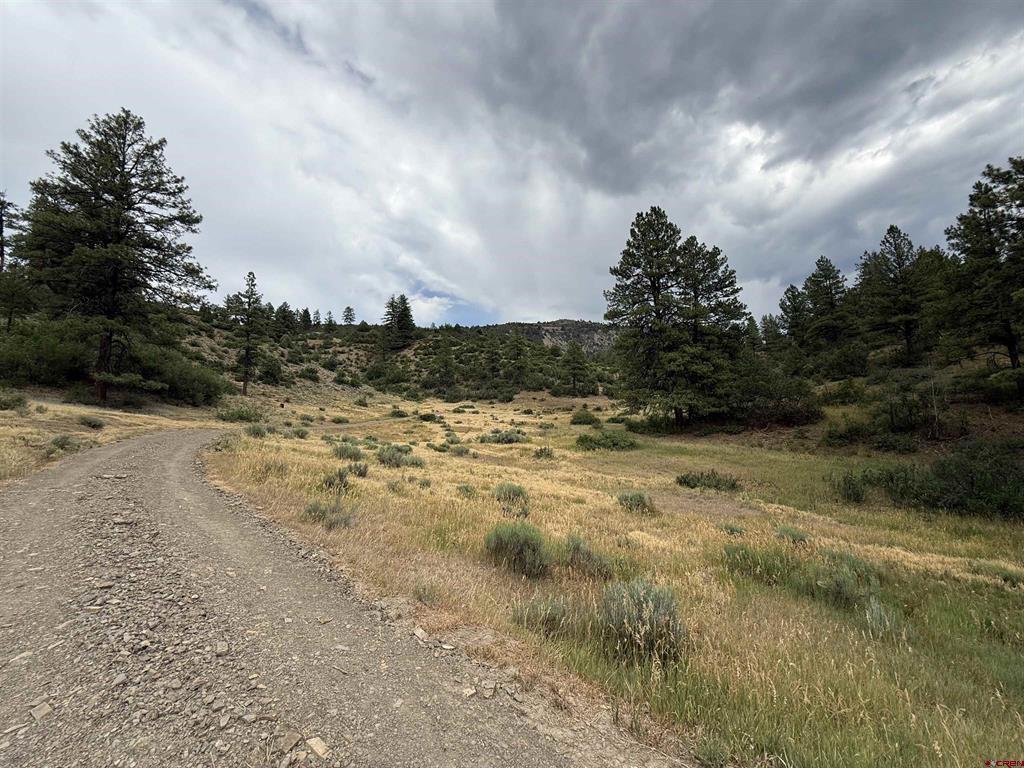 X Us Hwy 84 Highway Pagosa Springs CO 81147