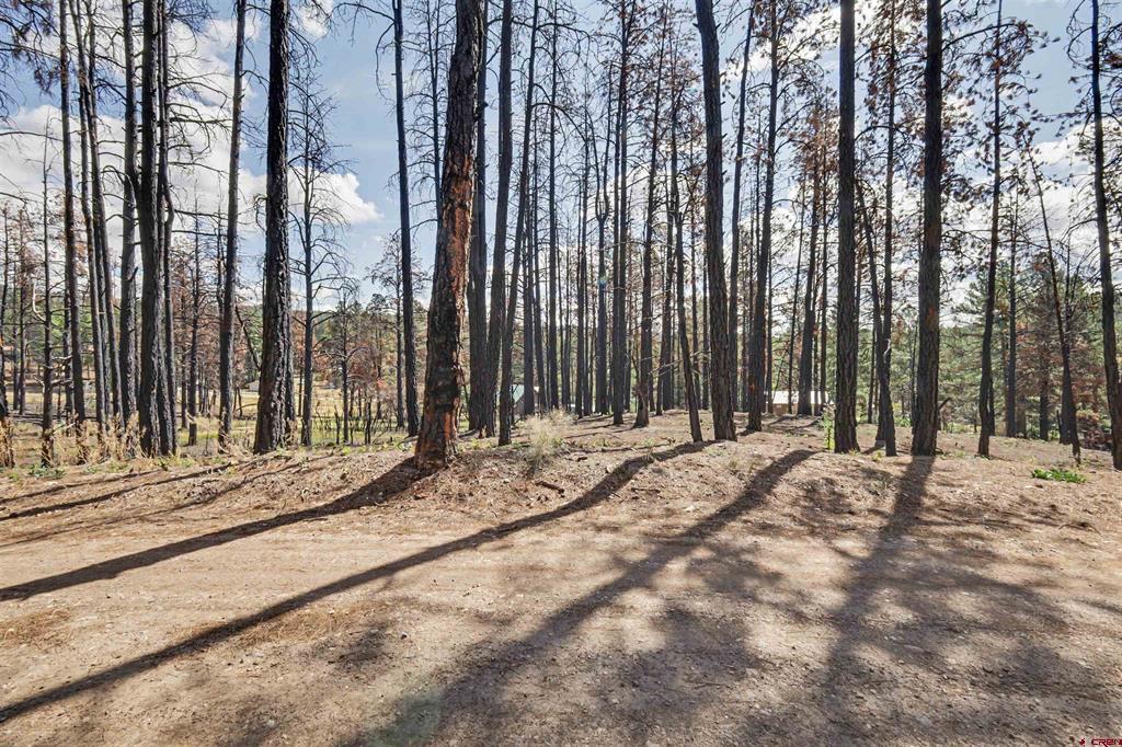 190 & 226 Windmill Place Pagosa Springs CO 81147