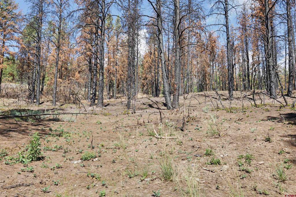 190 & 226 Windmill Place Pagosa Springs CO 81147
