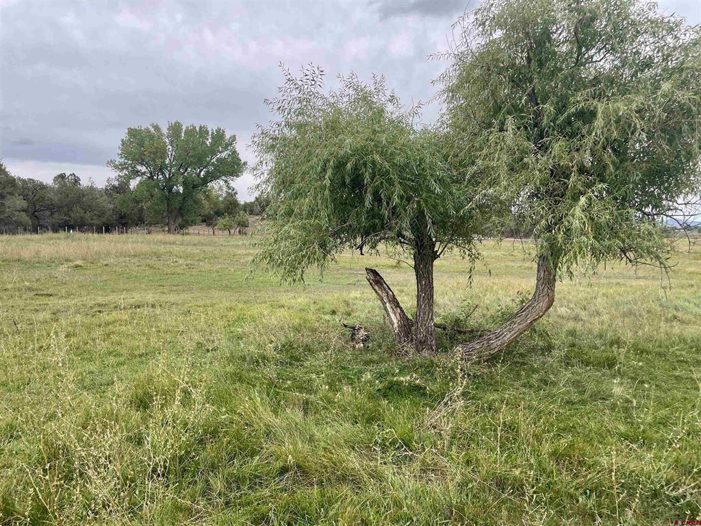23690 Road P Cortez CO 81321
