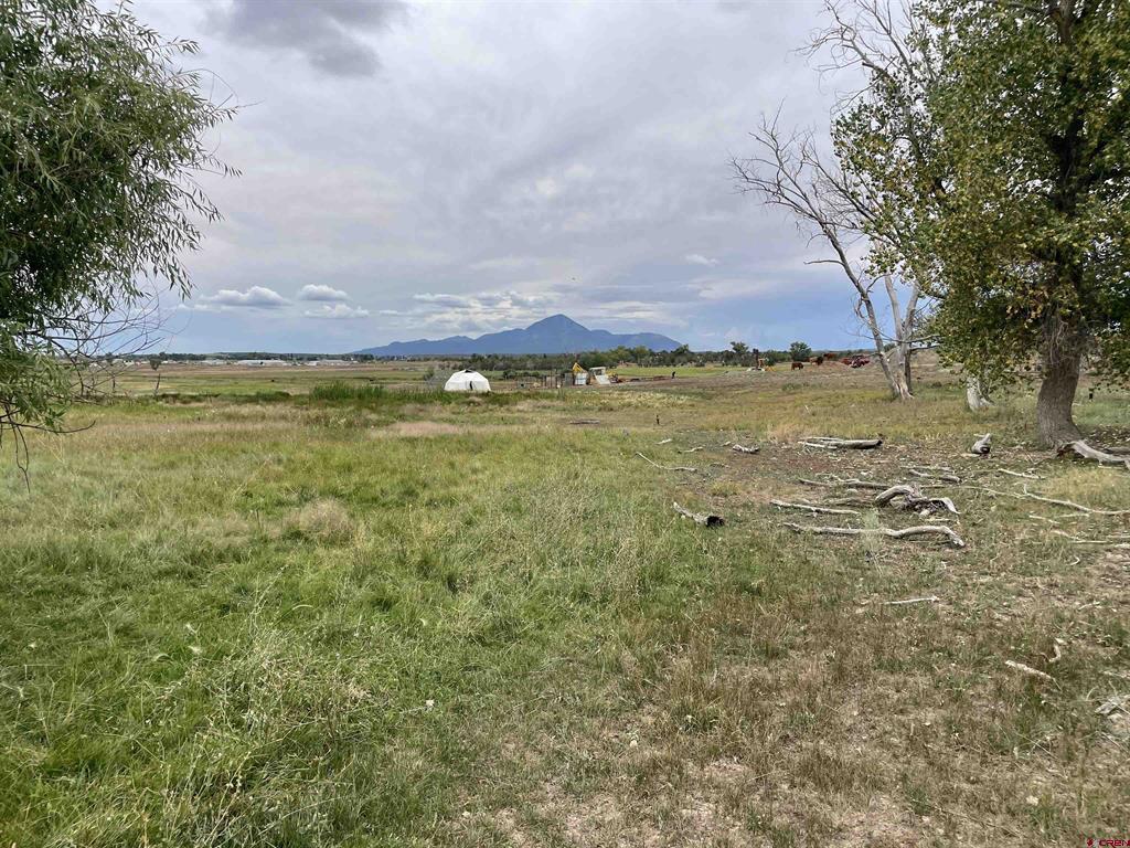 23690 Road P Cortez CO 81321