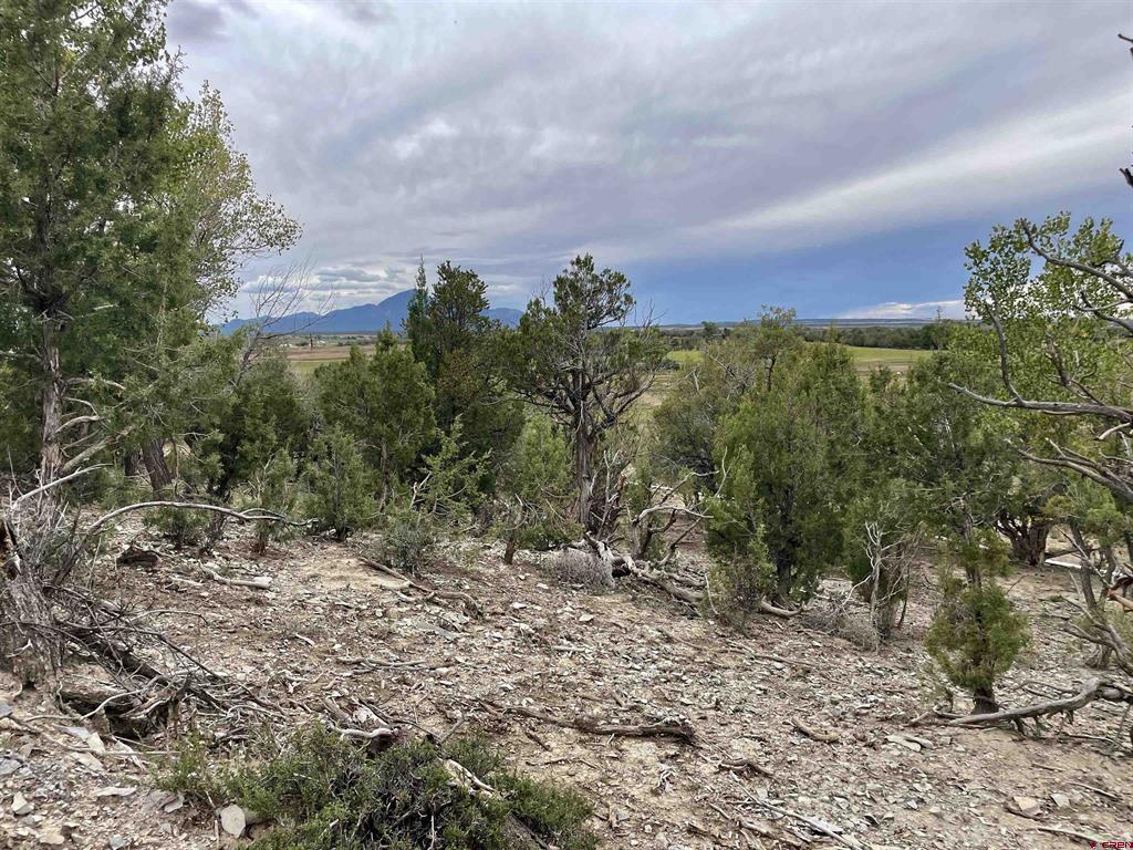 23690 Road P Cortez CO 81321