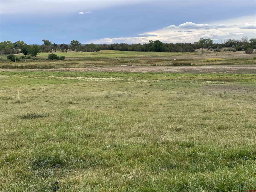 23690 Road P Cortez CO 81321