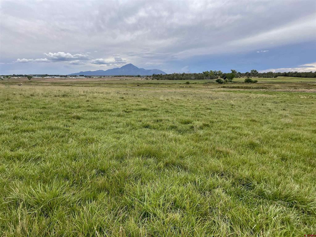 23690 Road P Cortez CO 81321