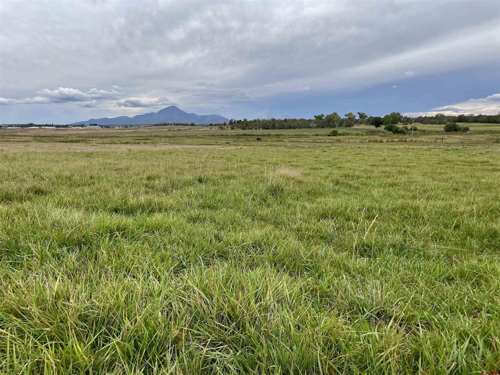 23690 Road P Cortez CO 81321