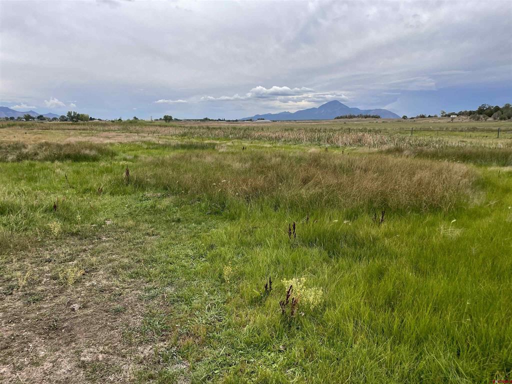 23690 Road P Cortez CO 81321