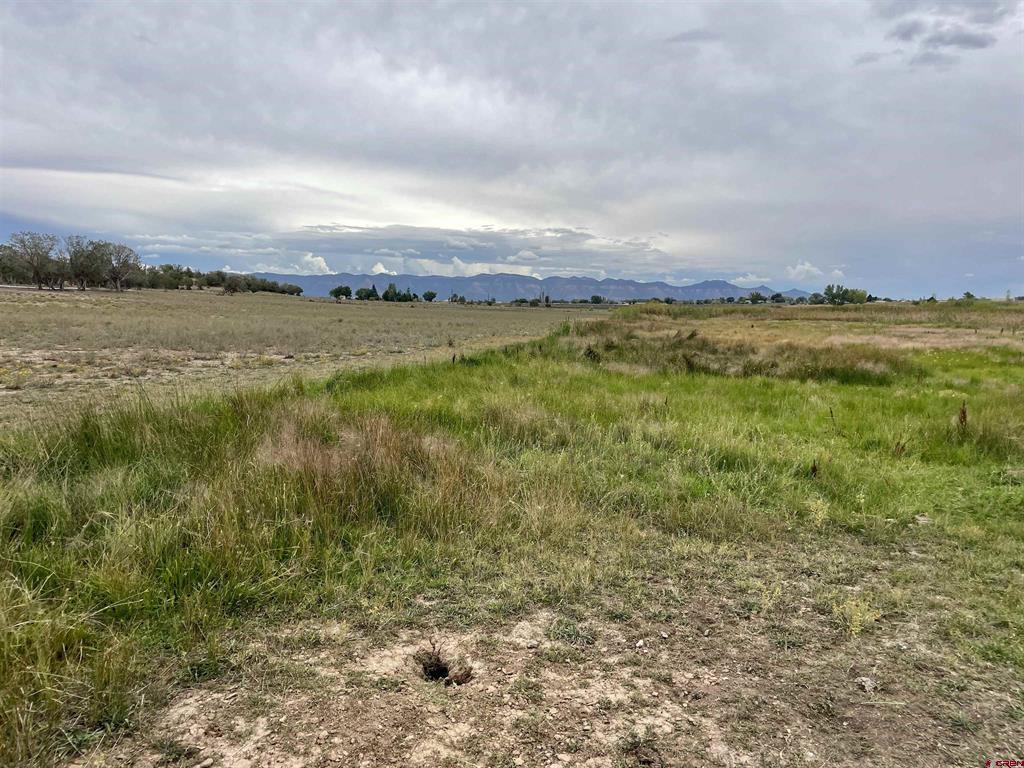23690 Road P Cortez CO 81321