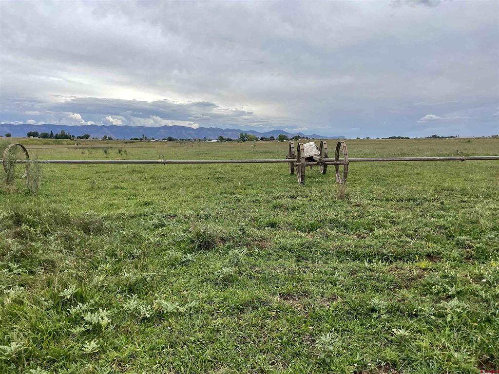 23690 Road P Cortez CO 81321