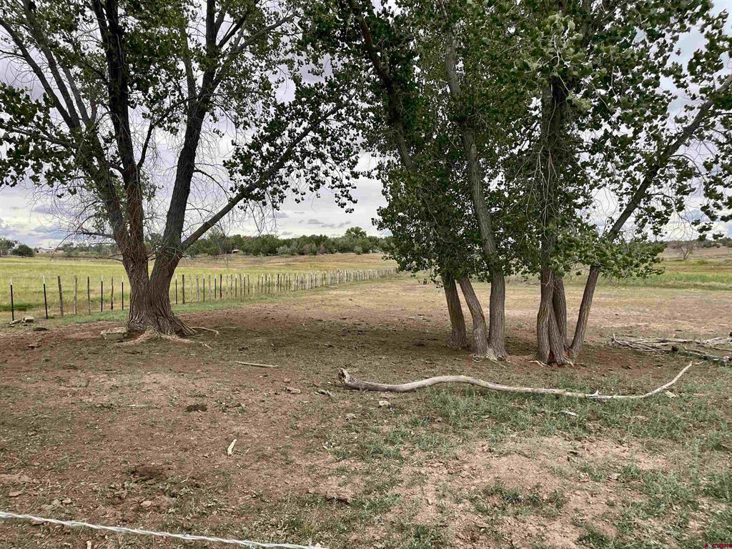 23690 Road P Cortez CO 81321