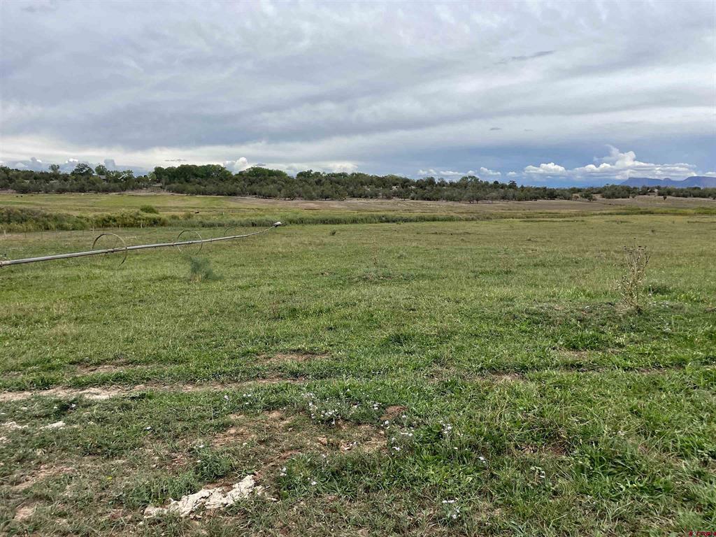 23690 Road P Cortez CO 81321
