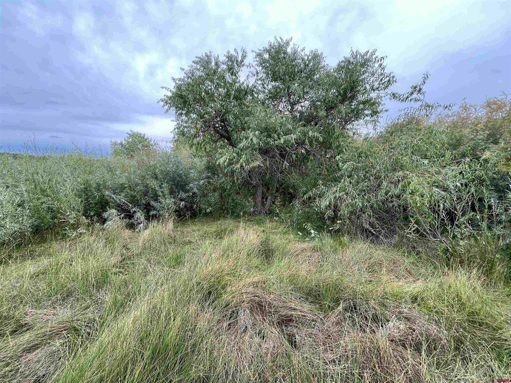 23690 Road P Cortez CO 81321