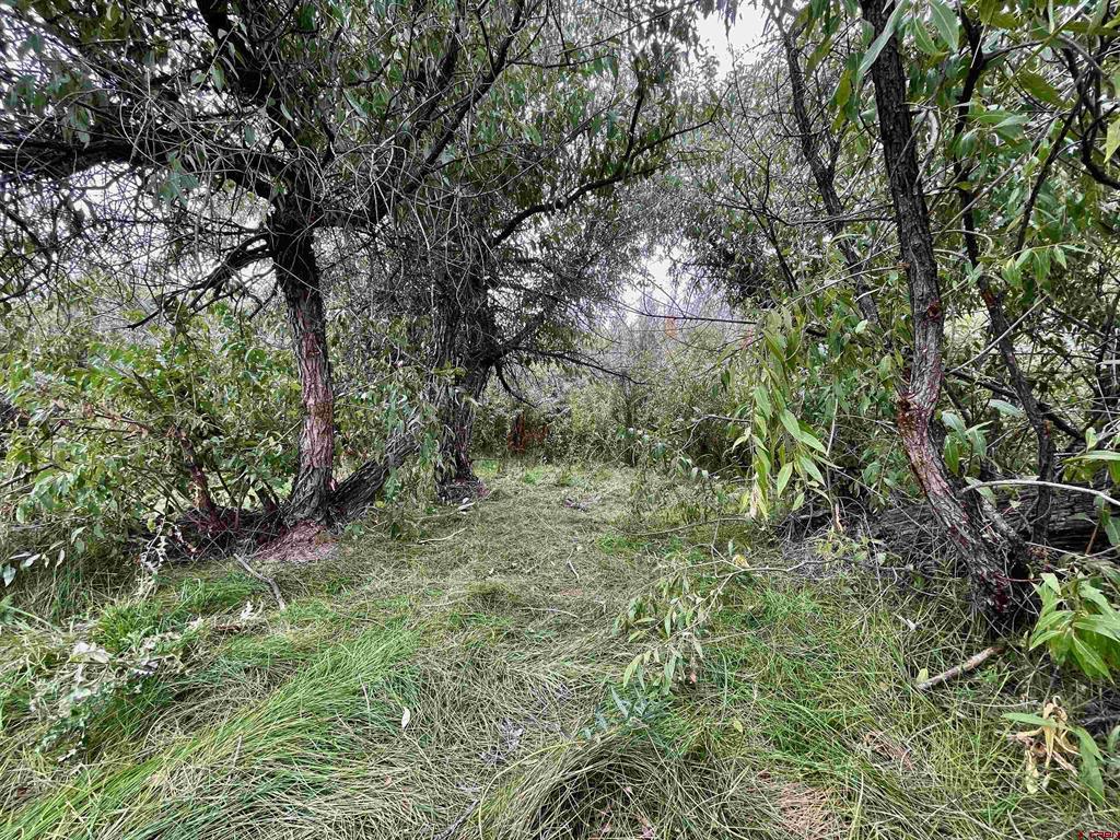 23690 Road P Cortez CO 81321
