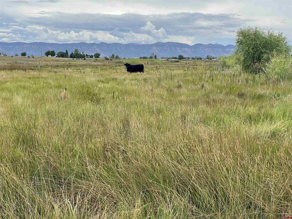23690 Road P Cortez CO 81321