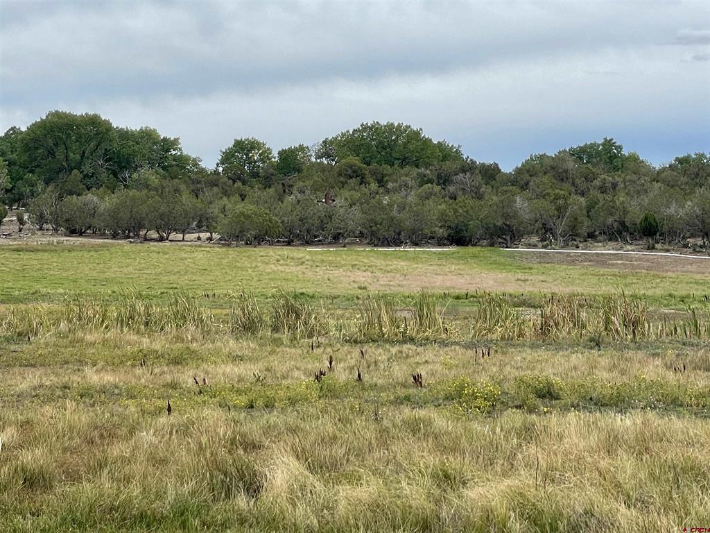 23690 Road P Cortez CO 81321