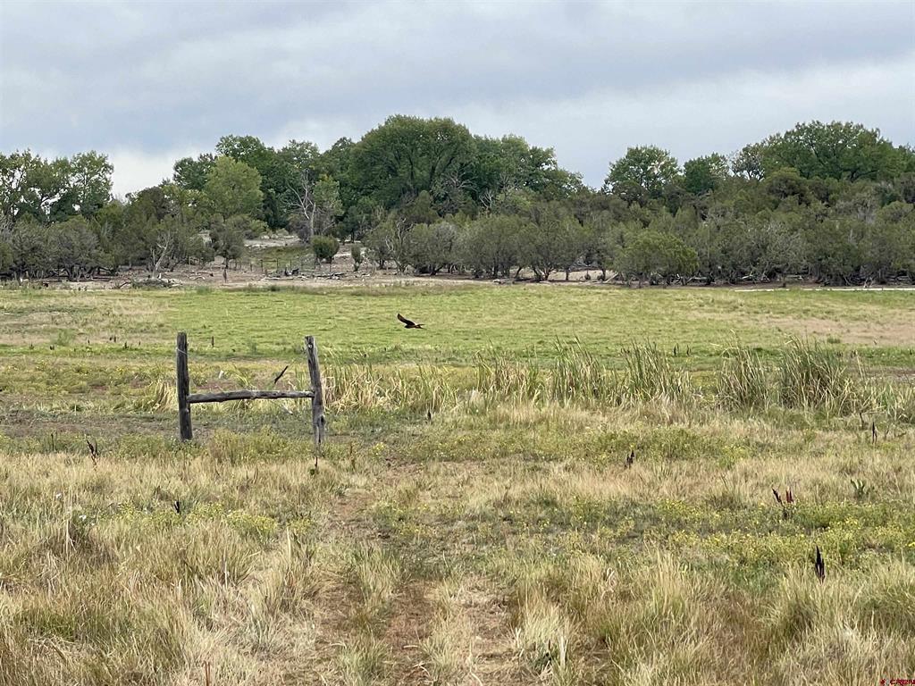 23690 Road P Cortez CO 81321