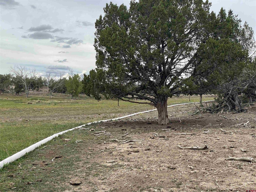 23690 Road P Cortez CO 81321