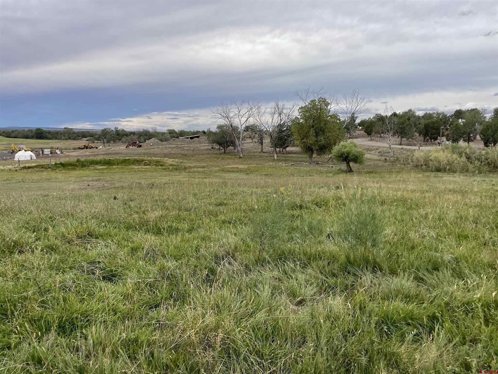 23690 Road P Cortez CO 81321