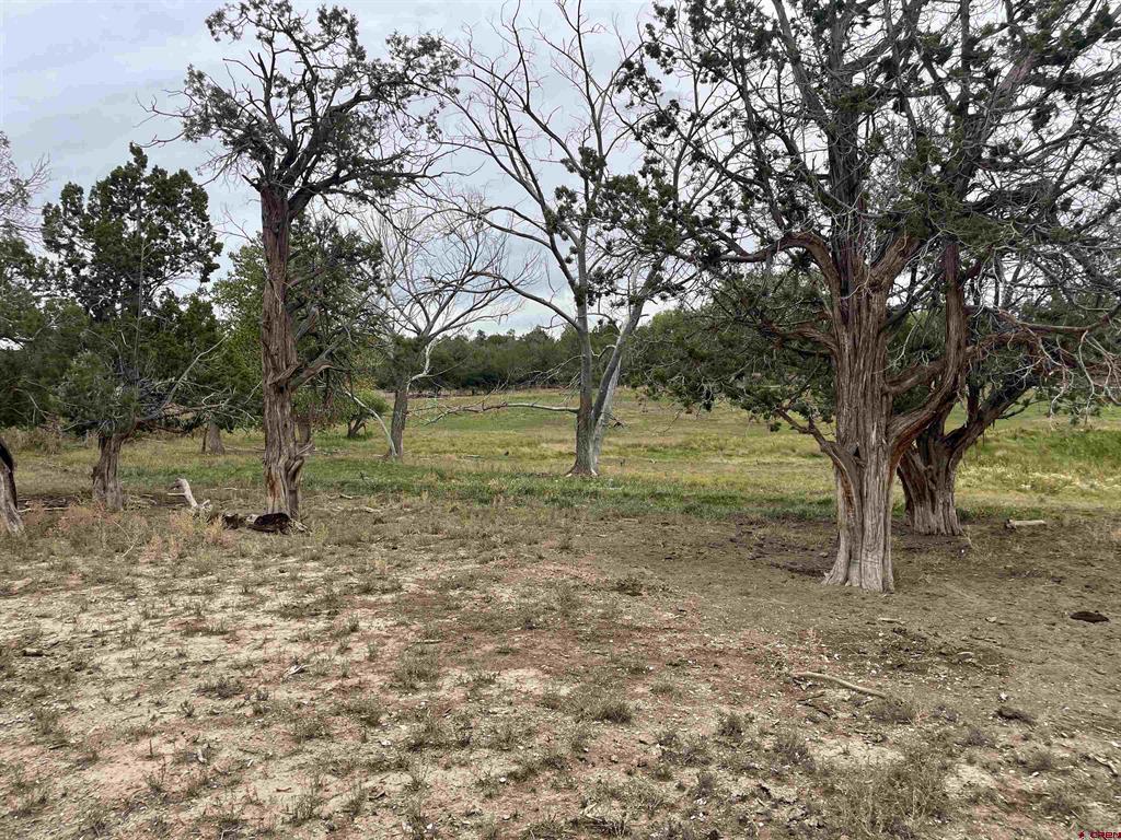 23690 Road P Cortez CO 81321