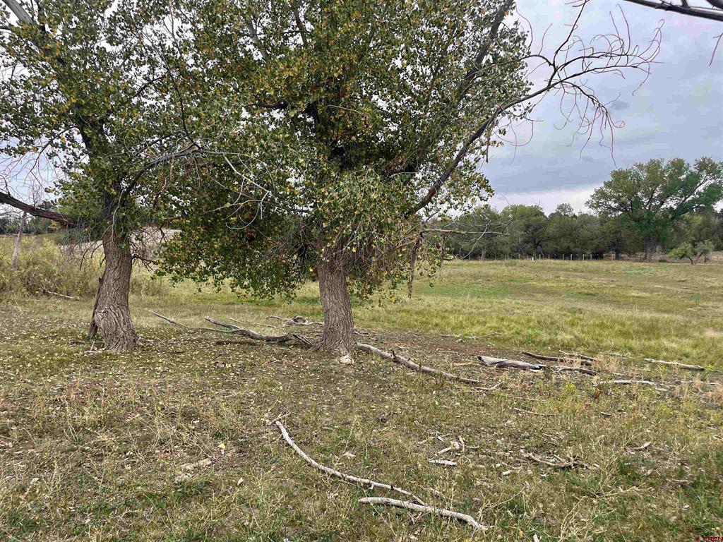23690 Road P Cortez CO 81321