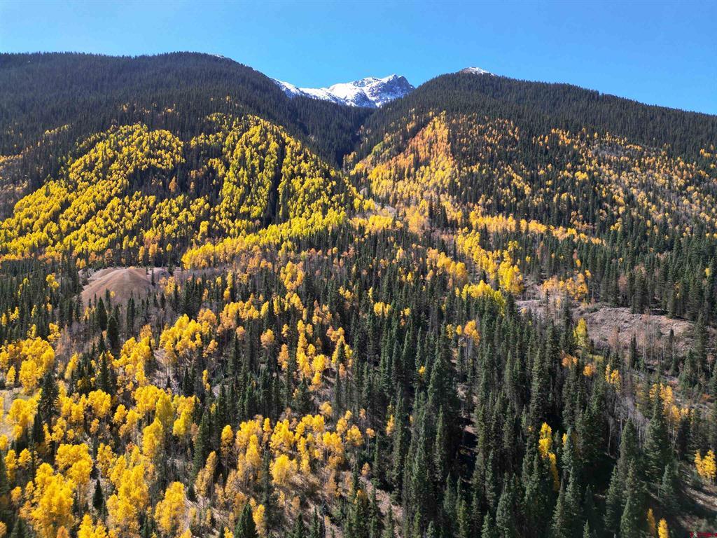 69715 Highway 550 N Silverton CO 81433