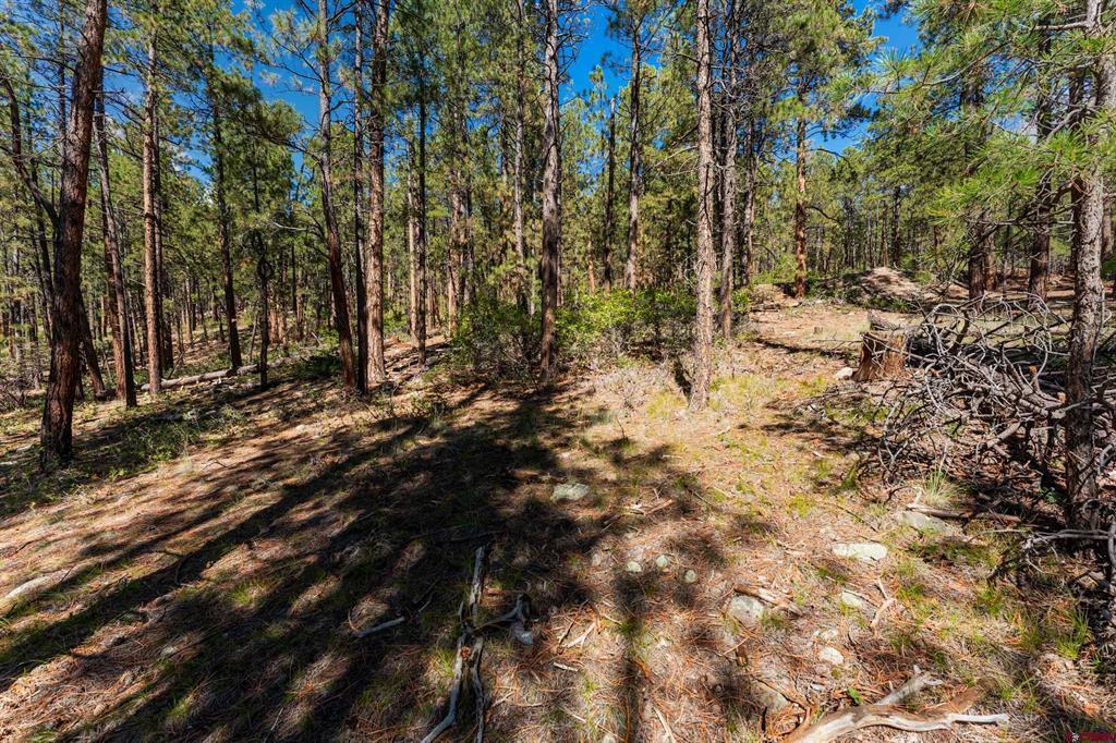 20 Elk Drive Bayfield CO 81122