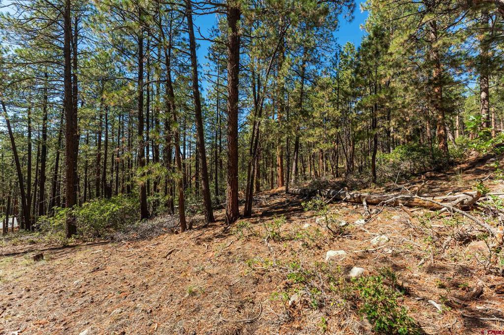 20 Elk Drive Bayfield CO 81122