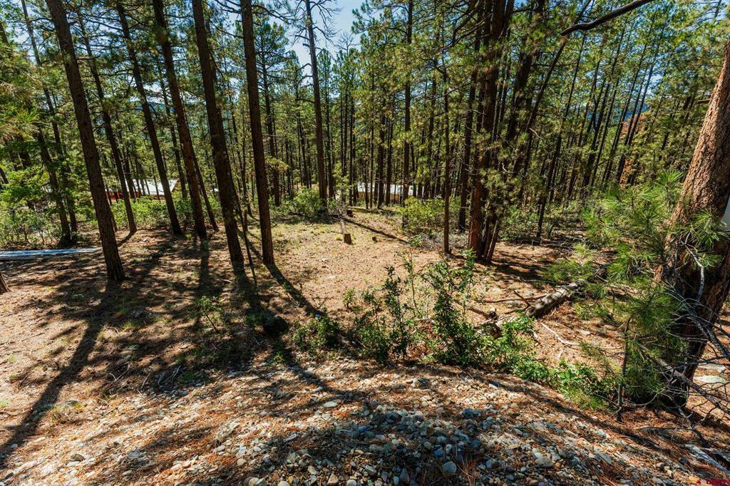 20 Elk Drive Bayfield CO 81122