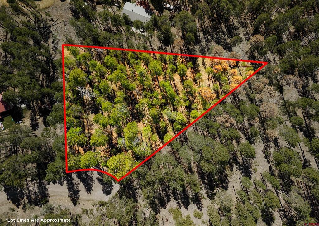 20 Elk Drive Bayfield CO 81122