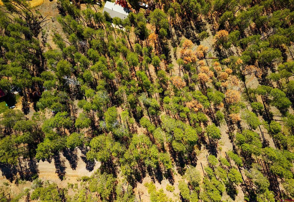 20 Elk Drive Bayfield CO 81122