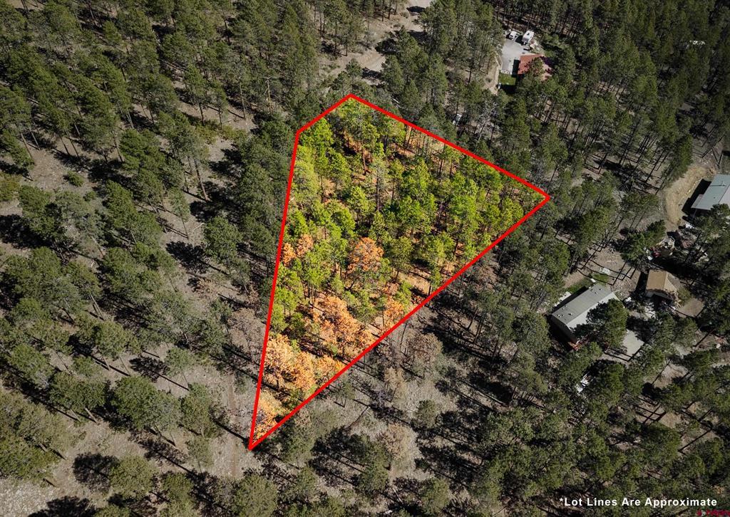 20 Elk Drive Bayfield CO 81122