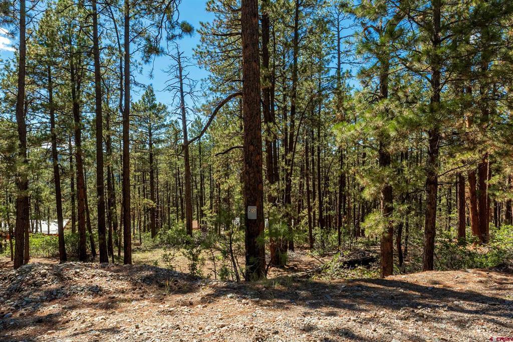 20 Elk Drive Bayfield CO 81122