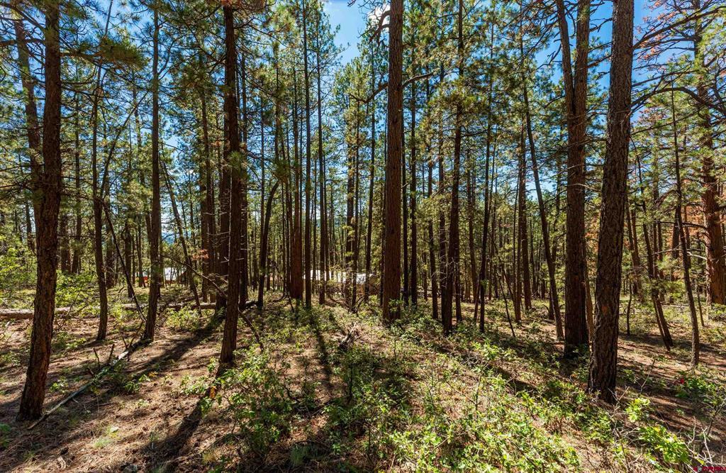 20 Elk Drive Bayfield CO 81122