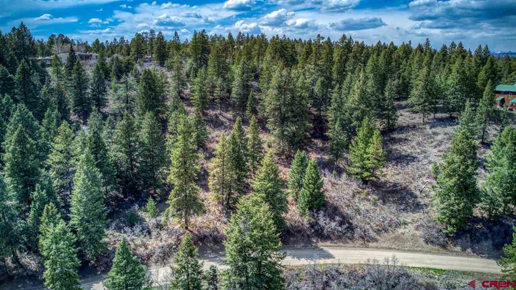 Pagosa Springs CO, 430 Pike