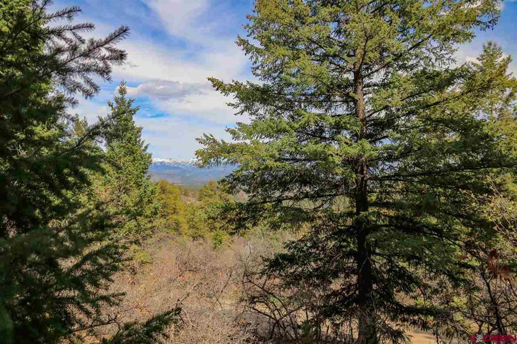 430 Pike Drive Pagosa Springs CO 81147