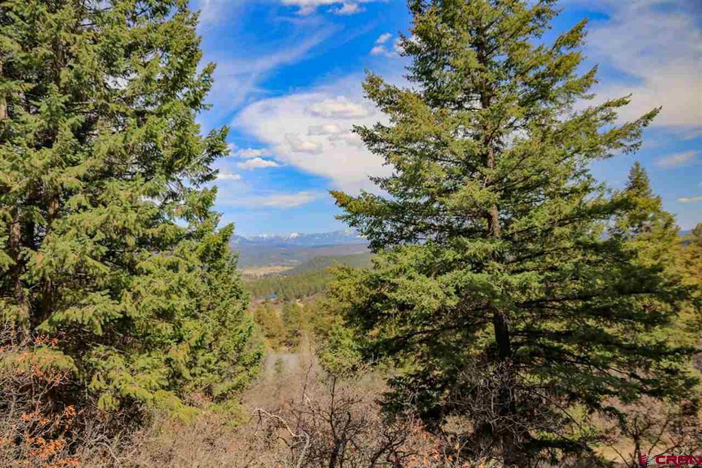 430 Pike Drive Pagosa Springs CO 81147